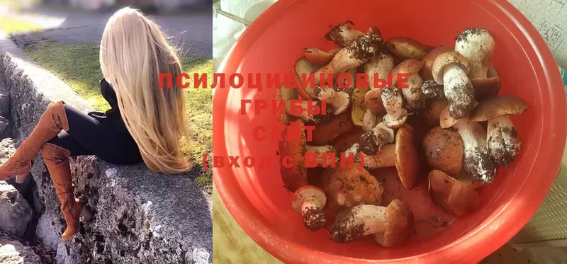 Галлюциногенные грибы Magic Shrooms  как найти закладки  Павлово 